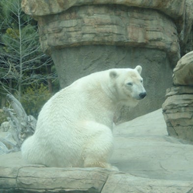 Can Zoos Play a Role in Climate Change Education?