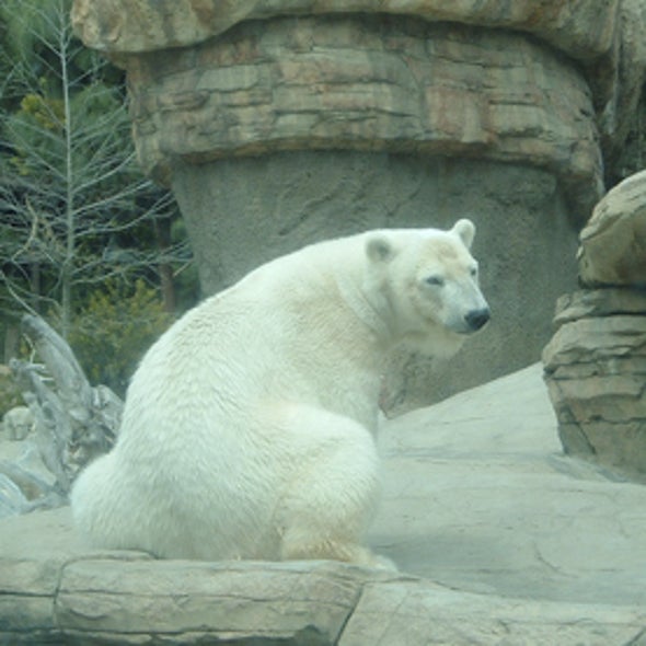 Can Zoos Play a Role in Climate Change Education?