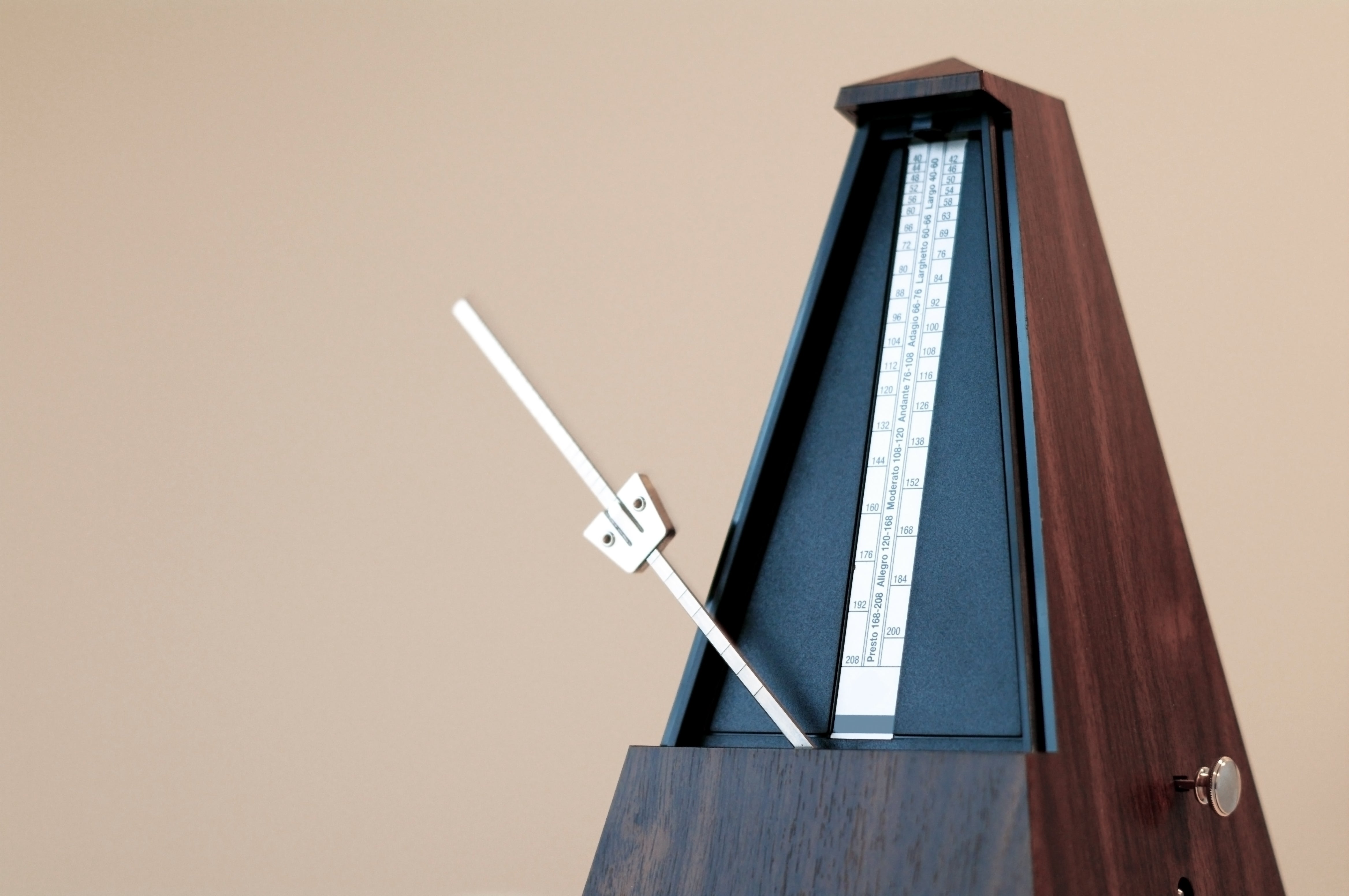 Metronome&quot; Neurons Act like Timekeepers in Mouse Brains - Scientific  American