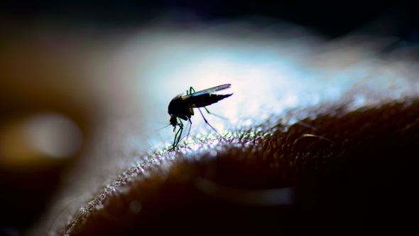 One Antibody Treats Two Infectious Diseases