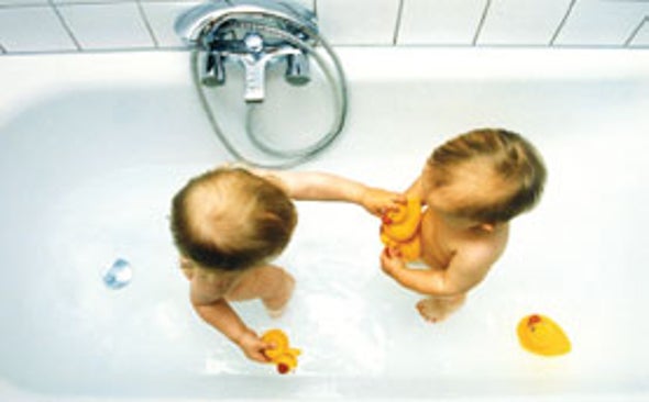 How Play Wires Kids Brains For Social >> Young Brains Lack Skills For Sharing Scientific American How Play Wires Kids Brains For Social >> Young Brains Lack Skills For Sharing Scientific American
