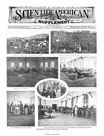 SA Supplements Vol 54 Issue 1394supp