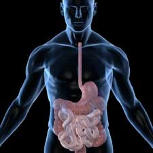 Think Twice: How the Gut's "Second Brain" Influences Mood and Well-Being
