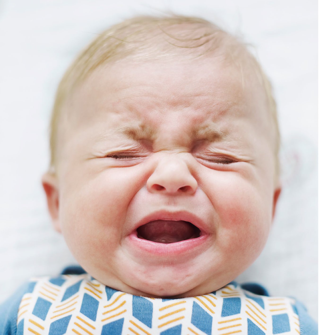 Listen between the Cries Scientific American