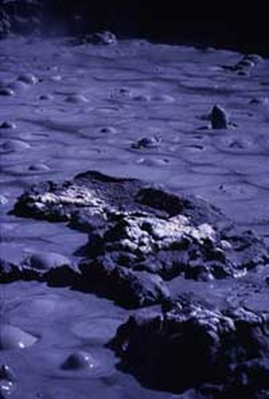 Mud-Loving Microbes May Aid in Manufacture of Nanoelectronics