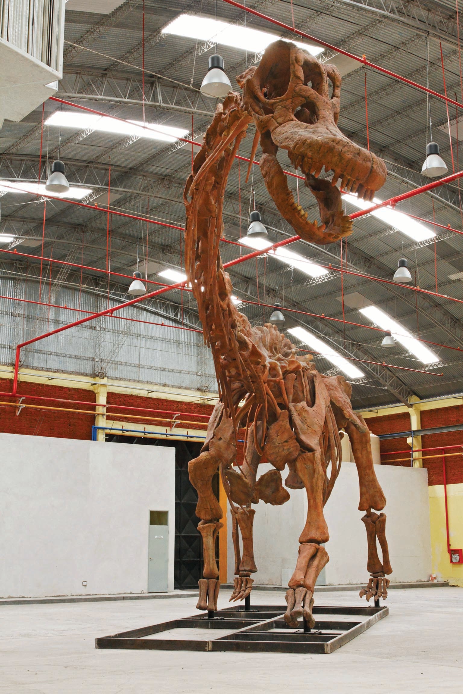 Patagotitan bones exhibited in a warehouse.