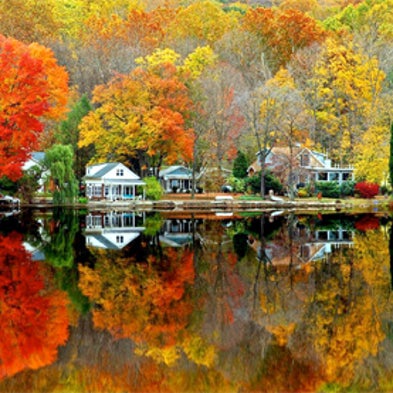 Fall Foliage Forecast Is Bright Only for Parts of the Northeast ...