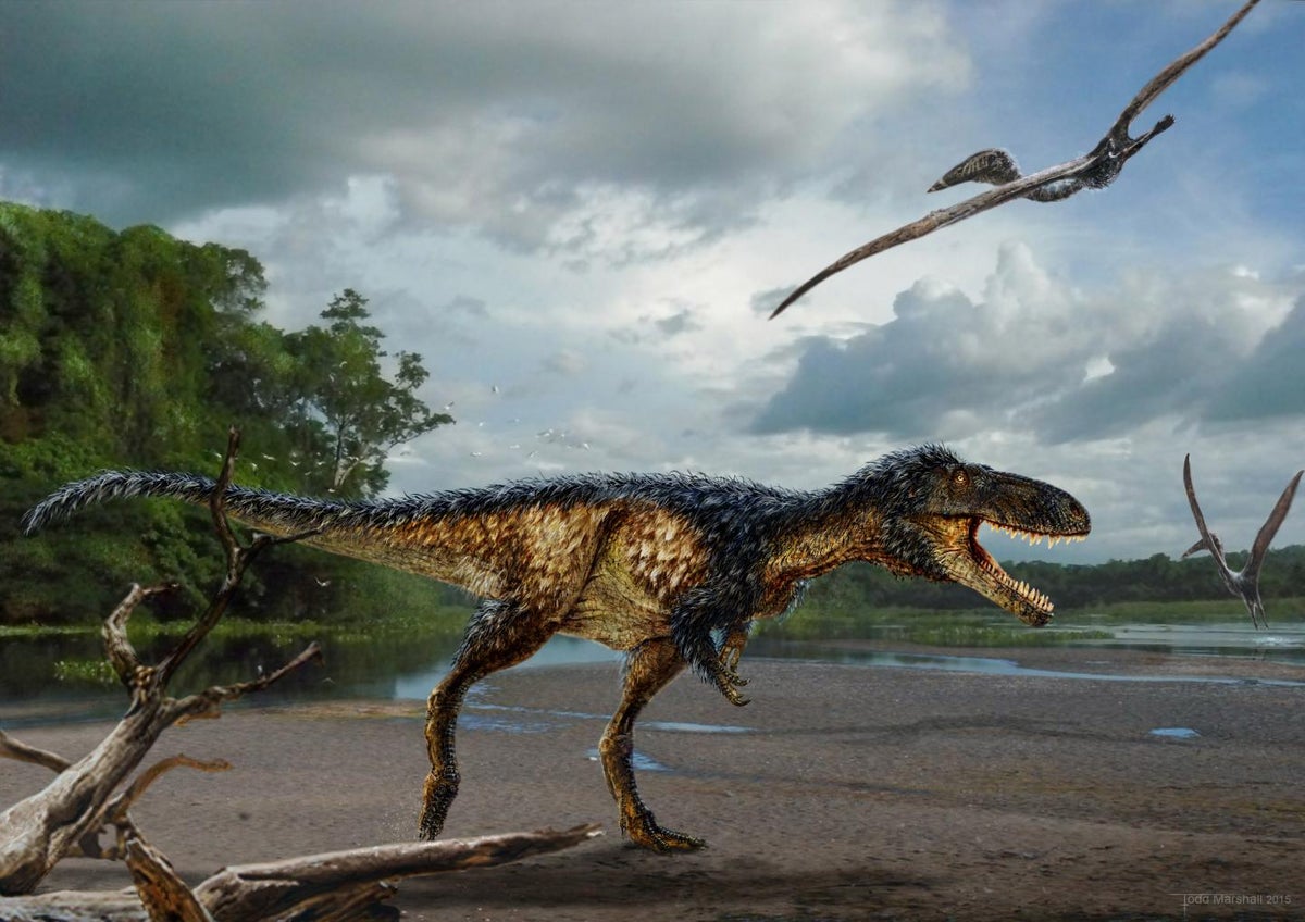 Newly discovered dinosaur had tiny arms like T. rex