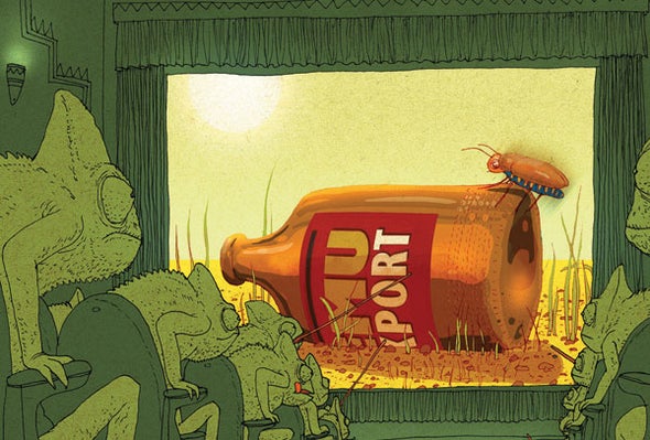 Did Humans Evolve to See Things as They Really Are?