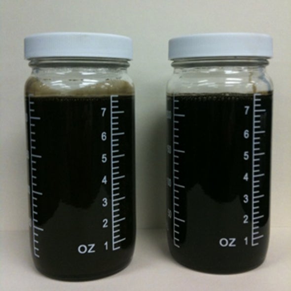 can-oil-be-recycled-scientific-american