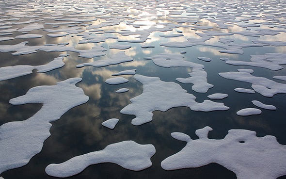 The Arctic Is a Profoundly Different Place Now