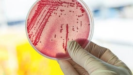 New Drugs May Come from Microbes in Our Guts