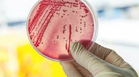 New Drugs May Come from Microbes in Our Guts