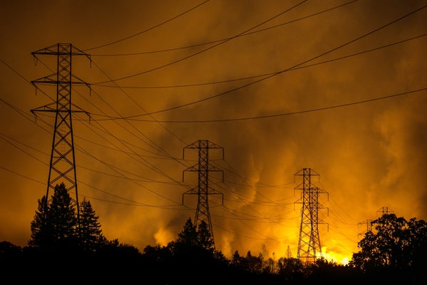 Blazing wildfire behind tall pine tree against yellow sky and power lines.