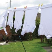 Laundry Hangout