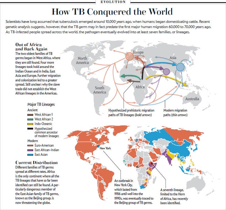 Image 3 - Scientific American