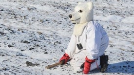 Why This Scientist Wears a Polar Bear Suit to Work