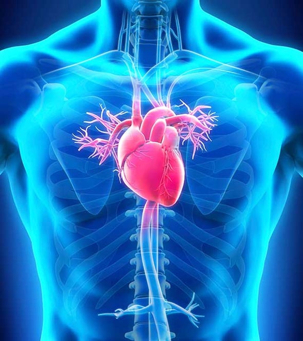 New Medical Devices Vanish Inside You
