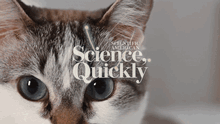 AI Can Now Read Your Cat's Pain