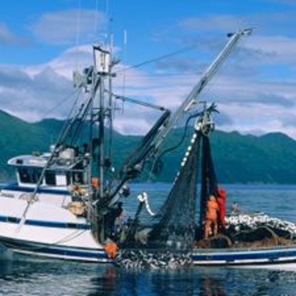 Are Current Fishing Regulations Misguided?