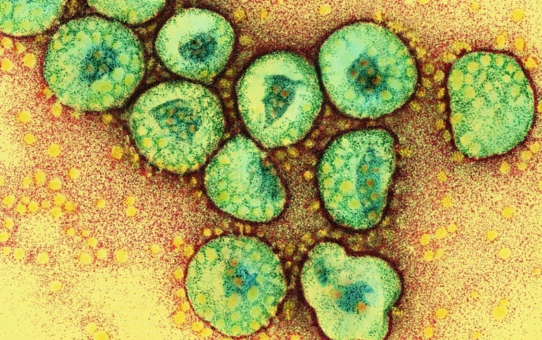 american new virus