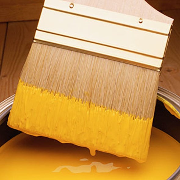 What Are The Benefits Of Insulating Paint Scientific American What Are The Benefits Of Insulating Paint