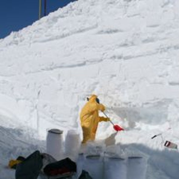 Extraterrestrial Specks in Antarctic Snow Yield New Clues to Solar System's Past