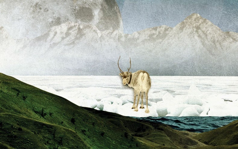 Illustration of an animal in the changing arctic