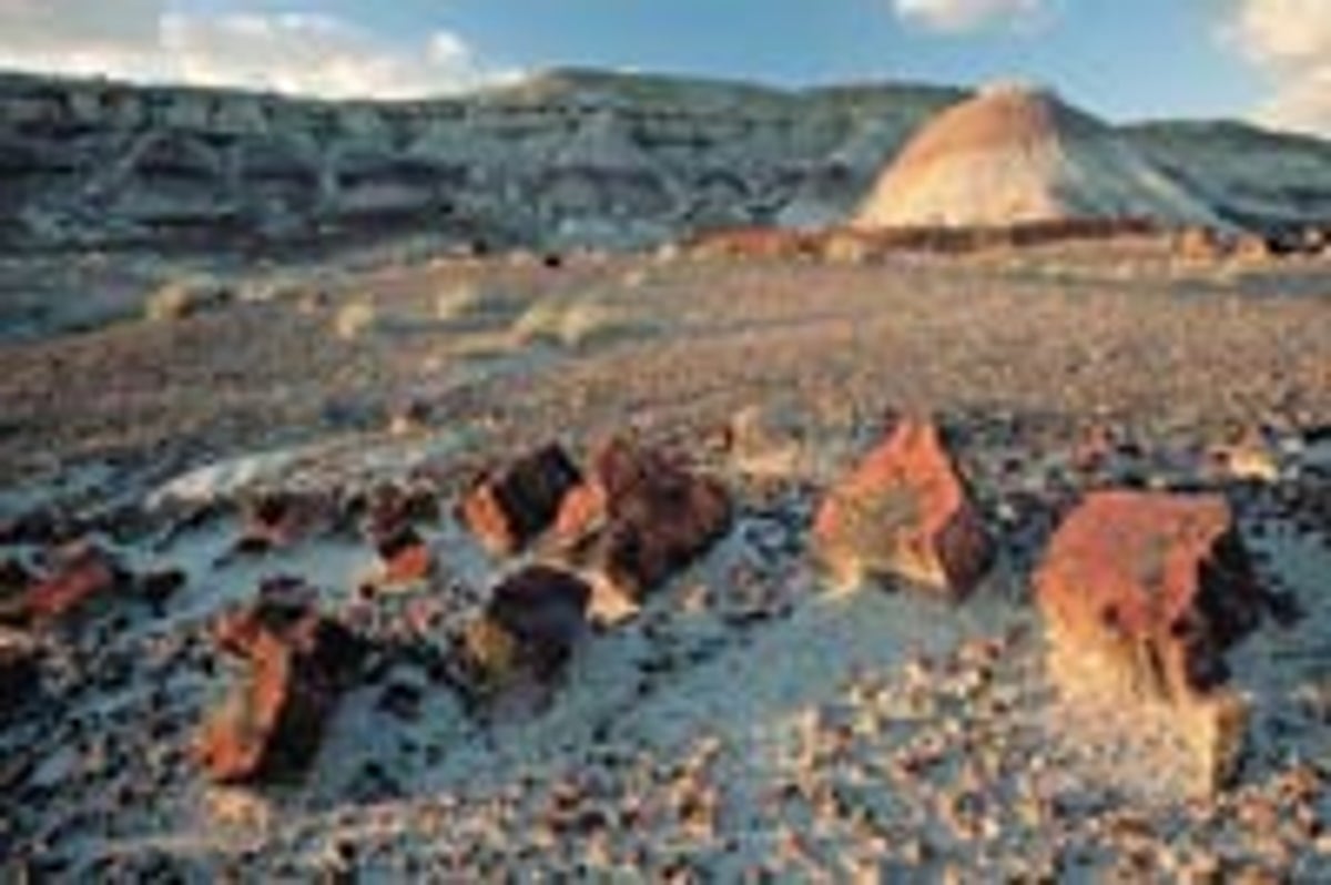 Trees of the Triassic | Scientific American