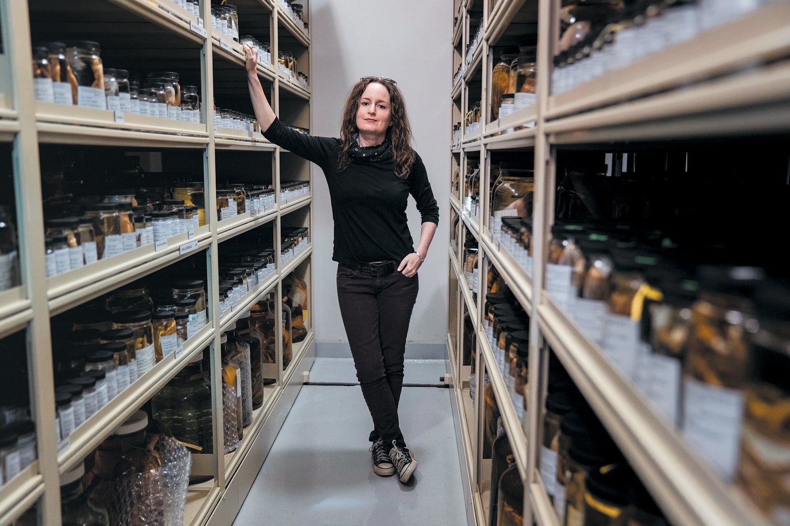 Parasite ecologist Chelsea Wood stands among the specimens at the University of Washington Fish Collection.