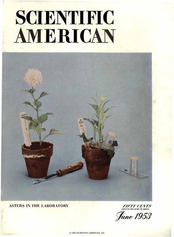 Scientific American Magazine Vol 188 Issue 6