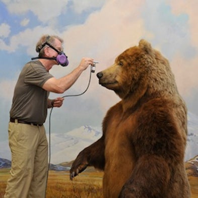 New Technology Saves Old Dioramas [Slide Show]