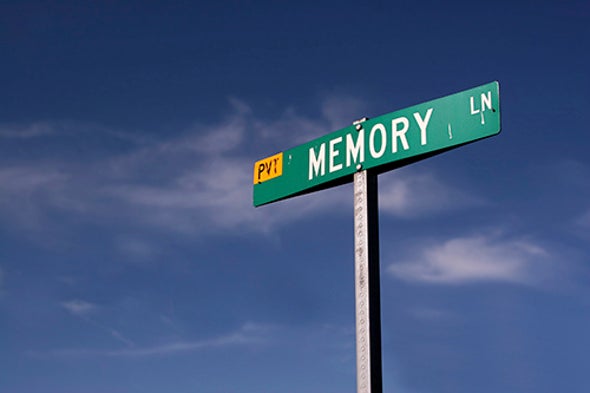 New Experiences Can Strengthen Old Memories Scientific American