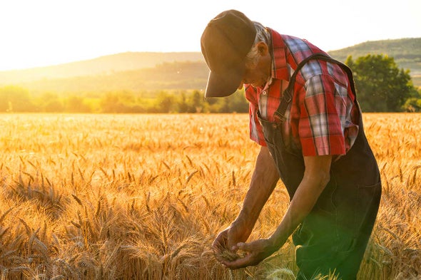 Presidential Candidates Ignore Farming, Despite Iowa Caucus