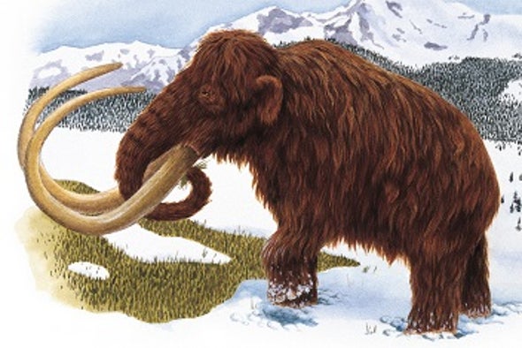 Mammoth Find Moves Humans in Arctic Back 10,000 Years