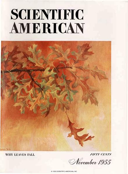 Scientific American Magazine Vol 193 Issue 5