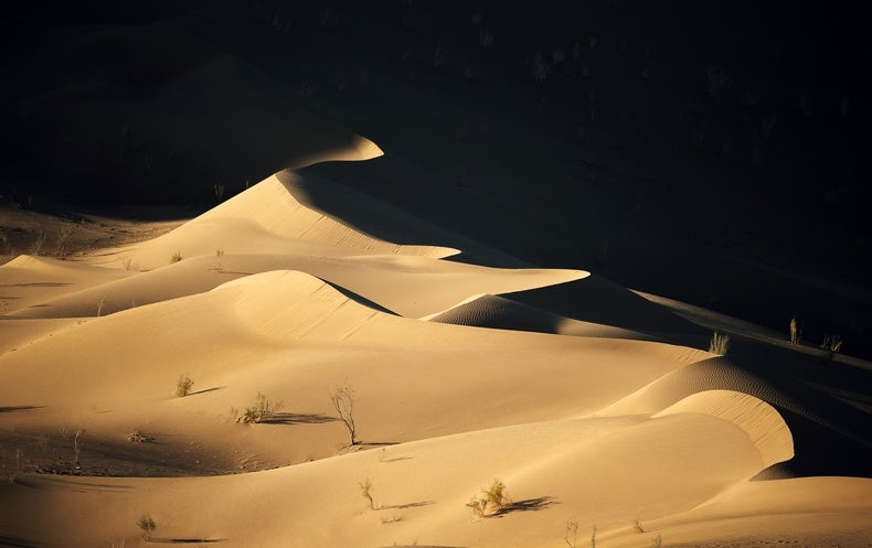  alp Arabian camel dromedary Camelus dromedarius valley vale sandbar sand bar volcano-0