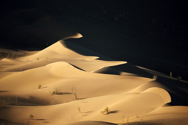 Desert sand dunes fade into a black background