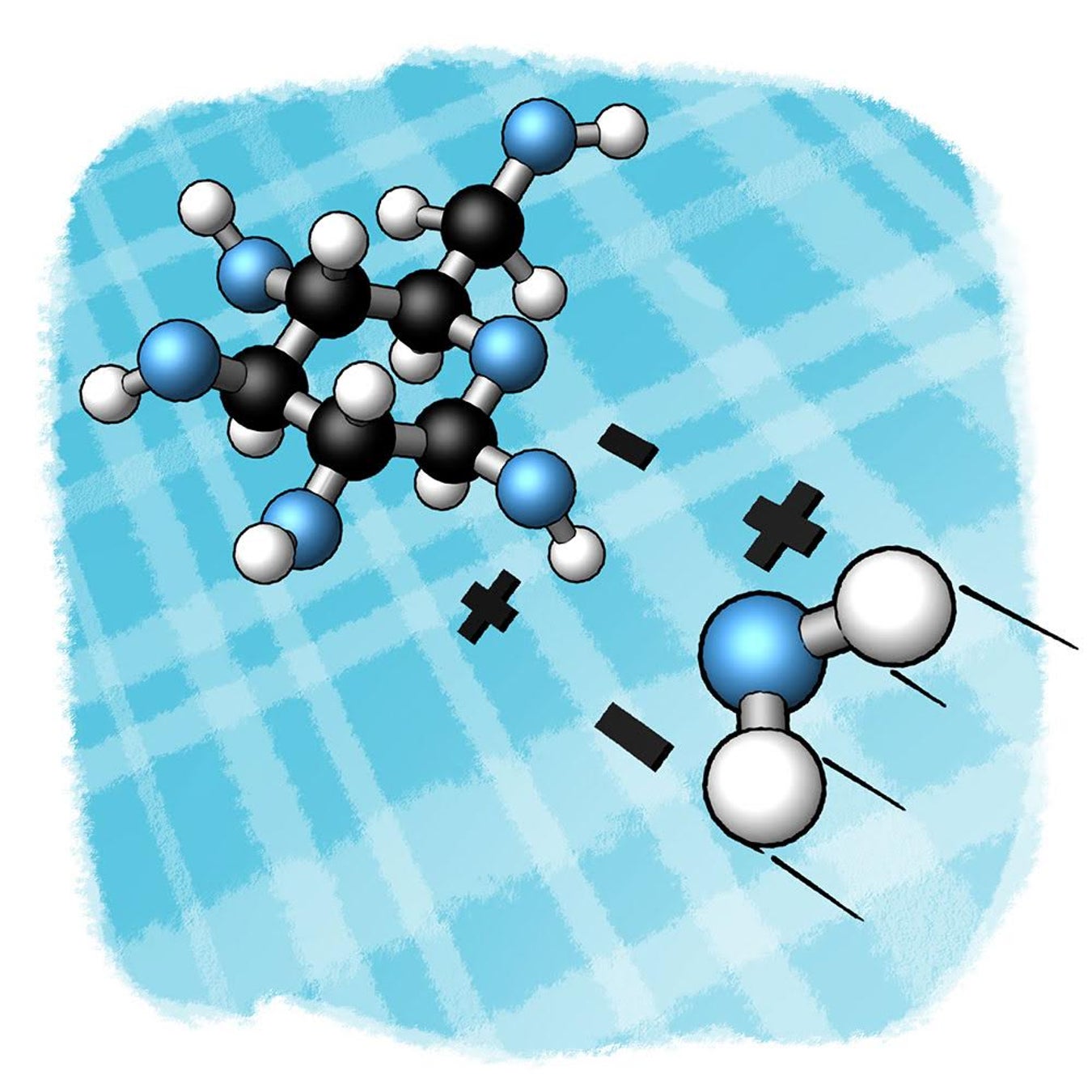 Folded or Flat Paper Towel Which One Absorbs More Water? Scientific