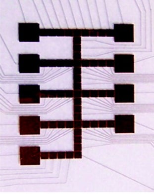 Organelle Simulated on Microchip for First Time