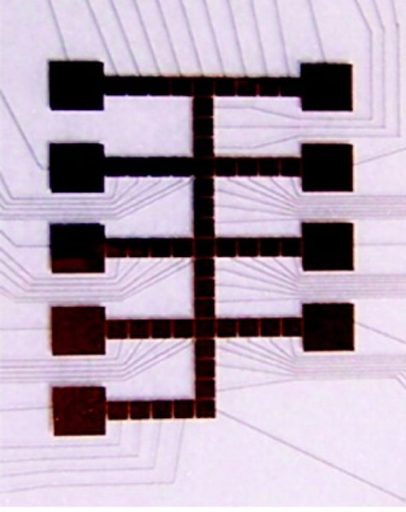 Organelle Simulated on Microchip for First Time