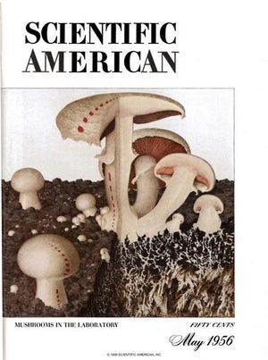 Scientific American Magazine Vol 194 Issue 5