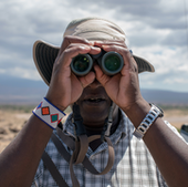 Project manager Raphael Mututua searches for the baboons he will be studying that day.