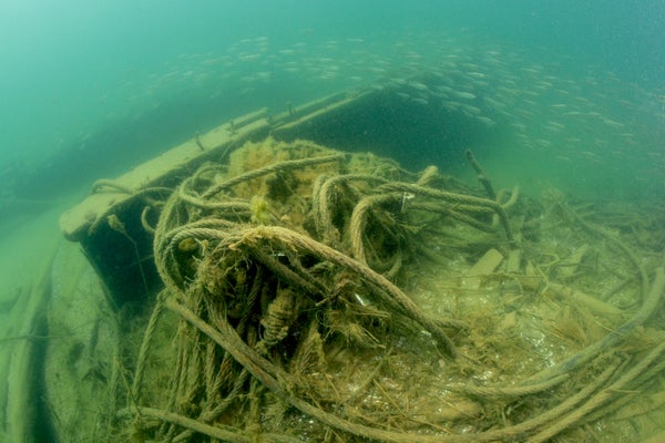 Shipwreck viewed from underwater.