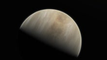 Prospects for Life on Venus Fade--But Aren't Dead Yet