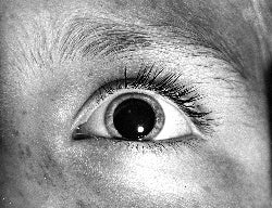 Eye-Opener: Why Do Pupils Dilate in Response to Emotional States?