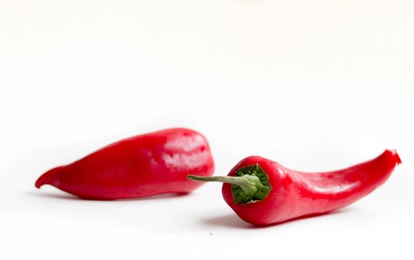 Hot Chilies Cool Down Gut Inflammation in Mice