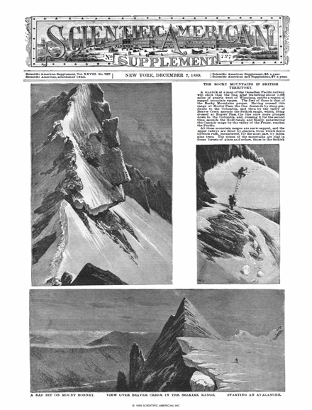 SA Supplements Vol 28 Issue 727supp