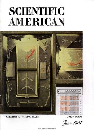 Scientific American Magazine Vol 216 Issue 6