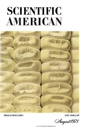 Scientific American Magazine Vol 225 Issue 2